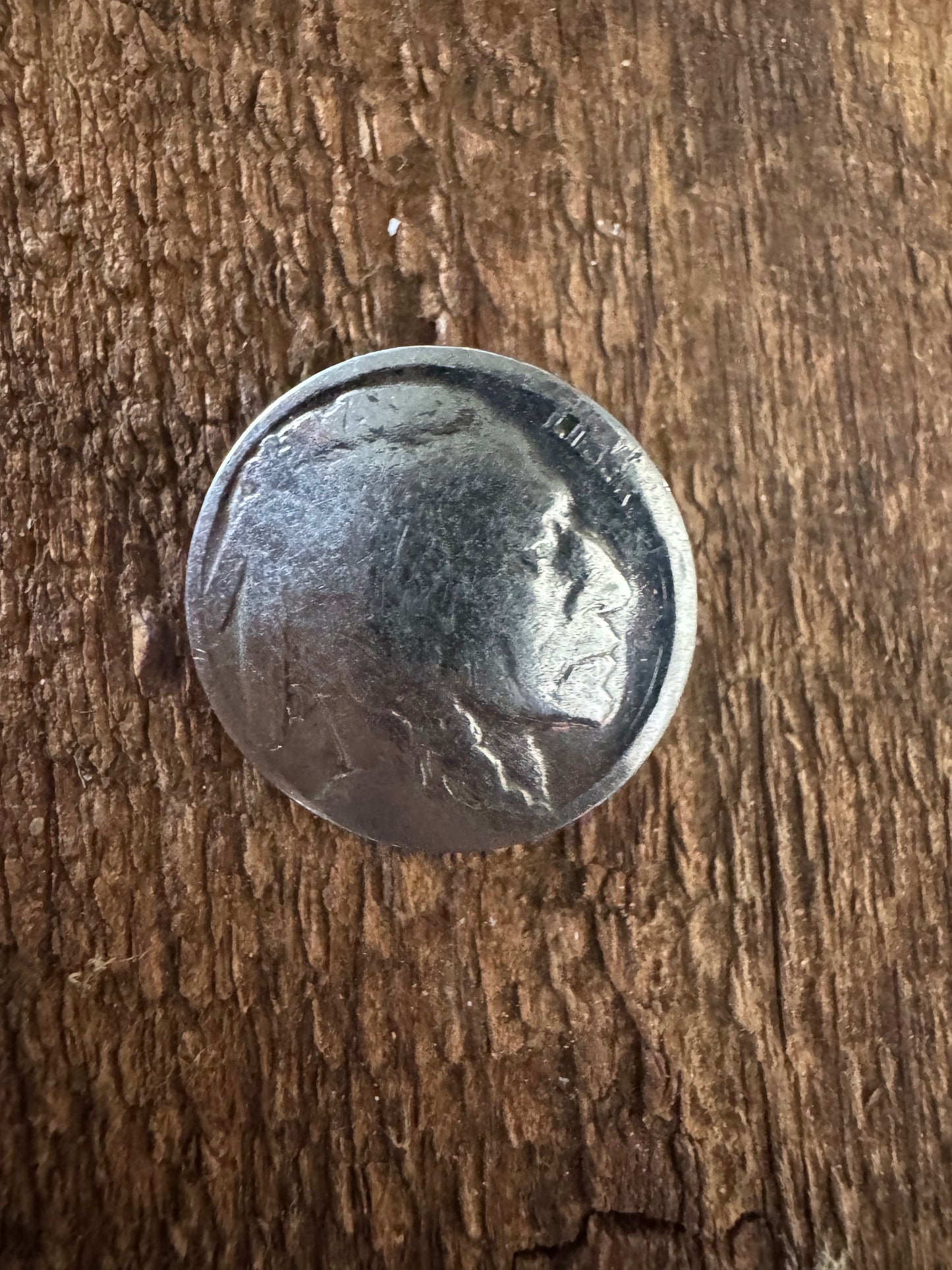 Buffalo 🦬 Nickel Buttons
