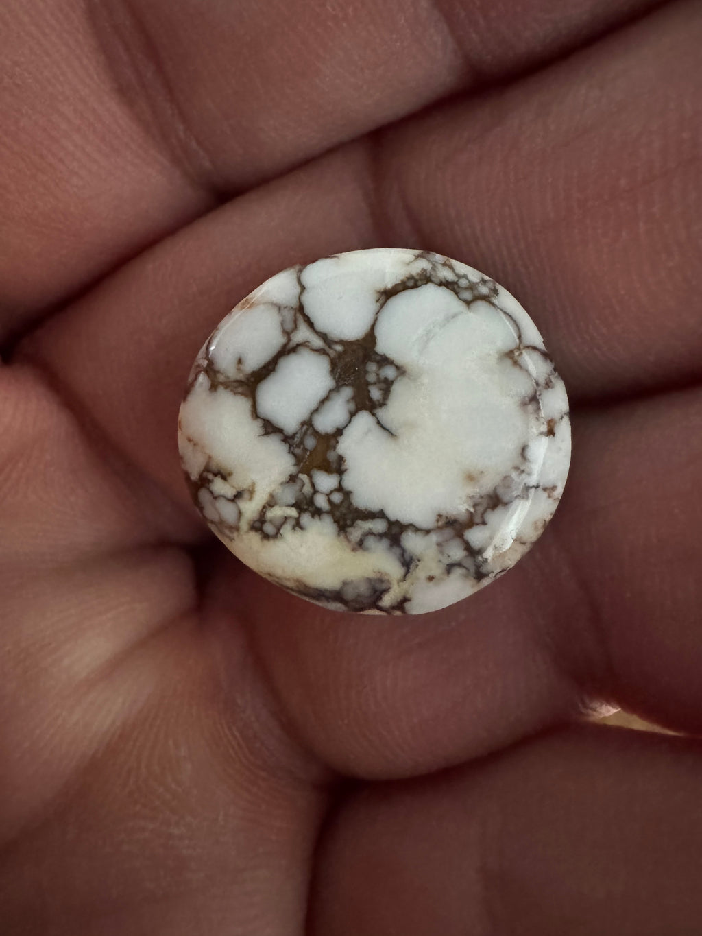 Wildhorse Variscite Set