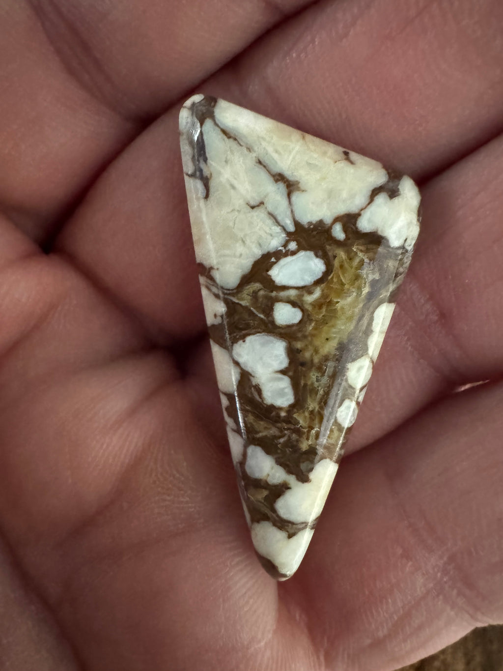Wildhorse Variscite Set
