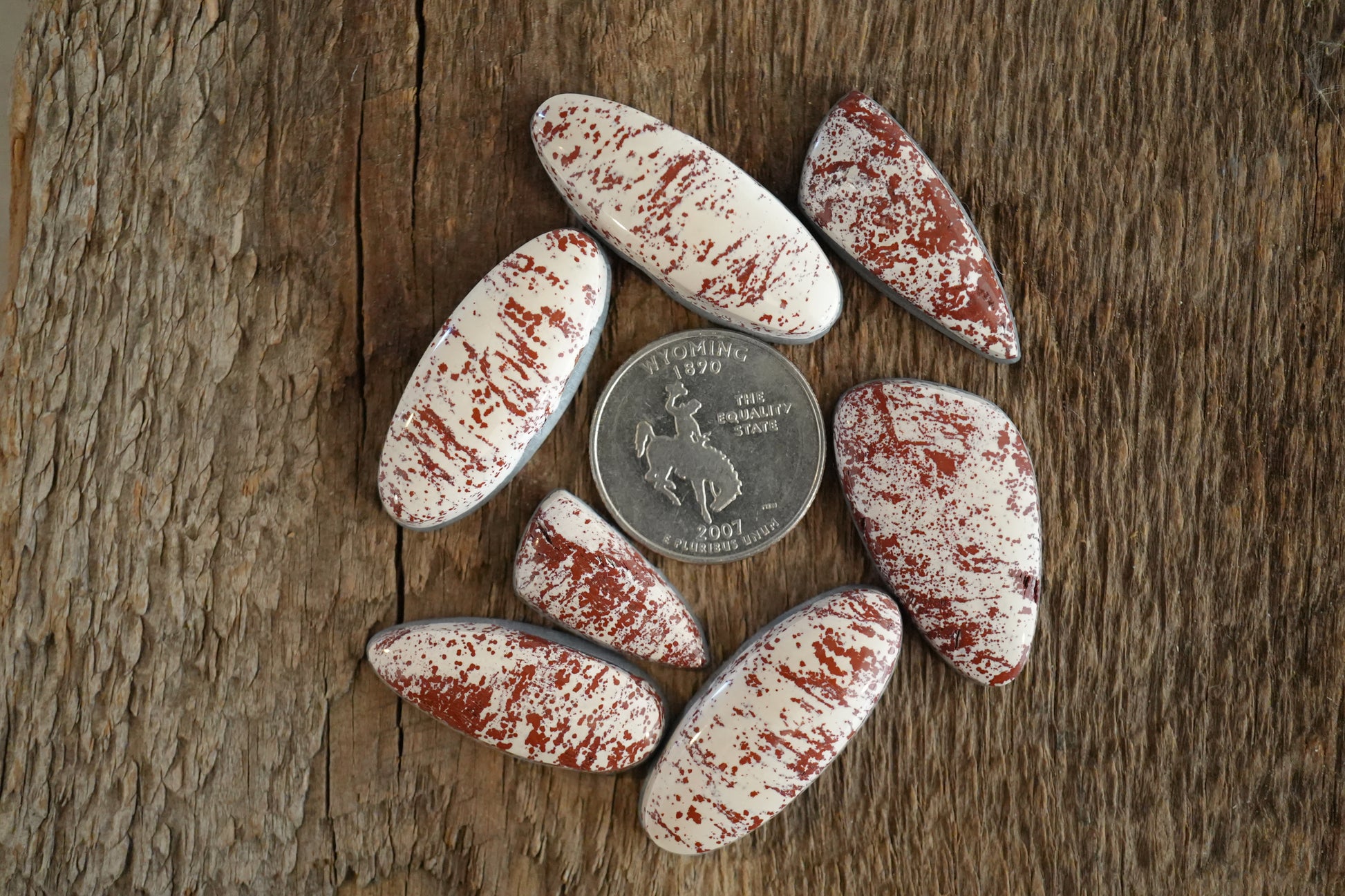 Red Buffalo Turquoise Cab Bundle