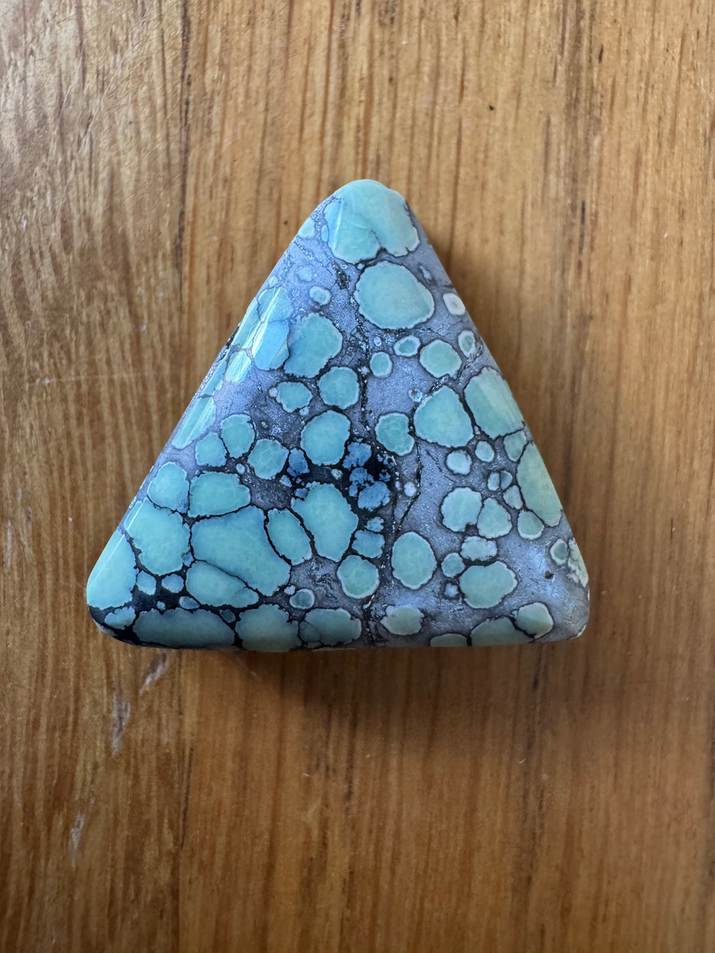 Suguaro Aloe Variscite Triangle
