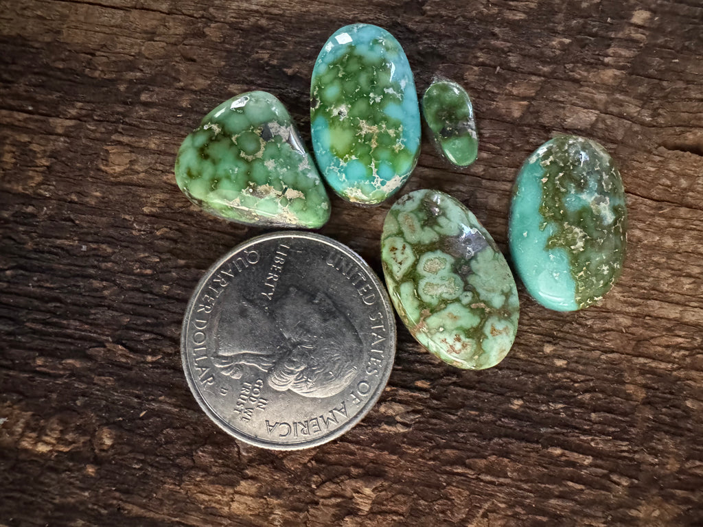 Sonoran Gold High GradeTurquoise Cabochon Collection