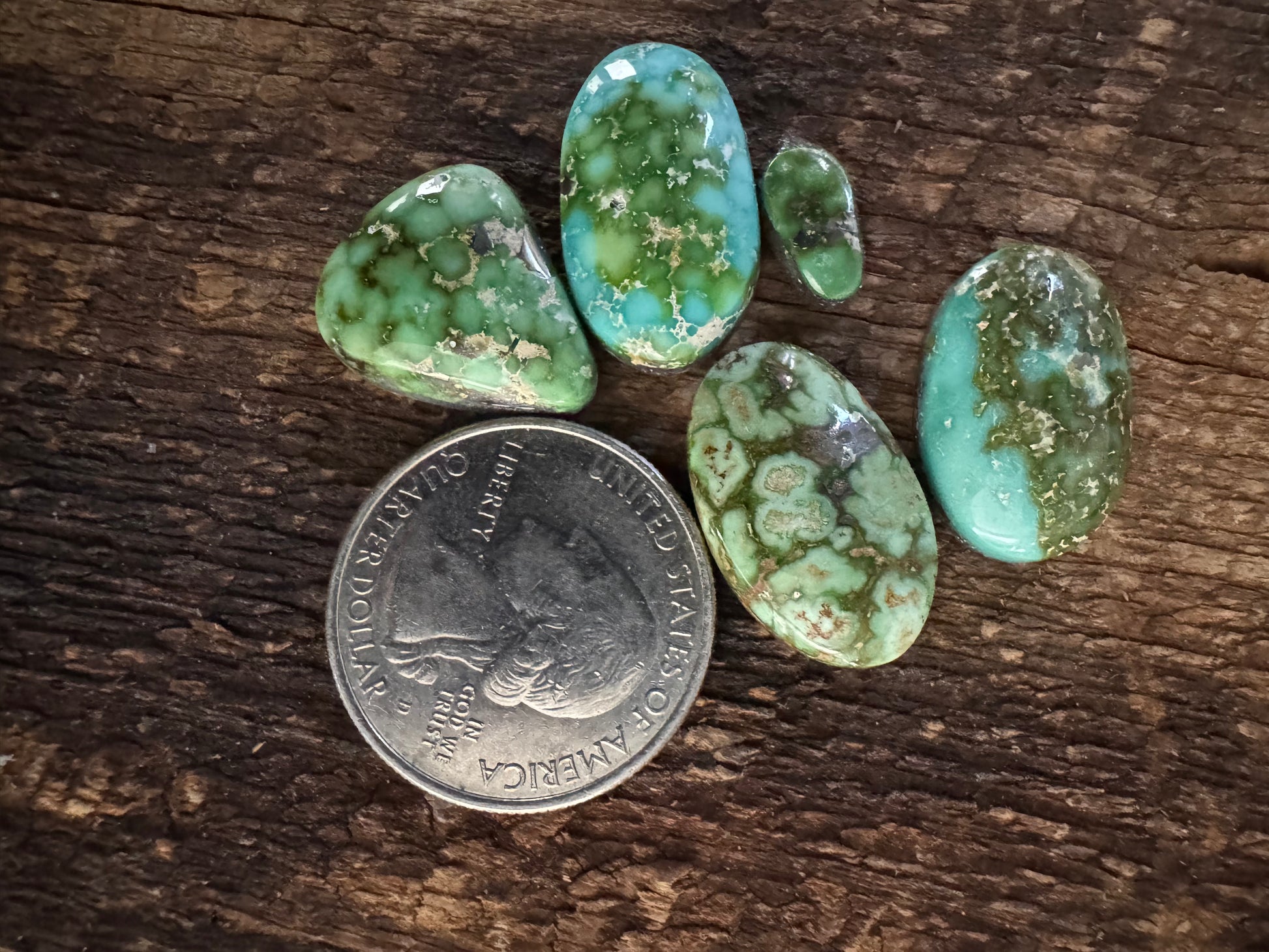 Sonoran Gold High GradeTurquoise Cabochon Collection