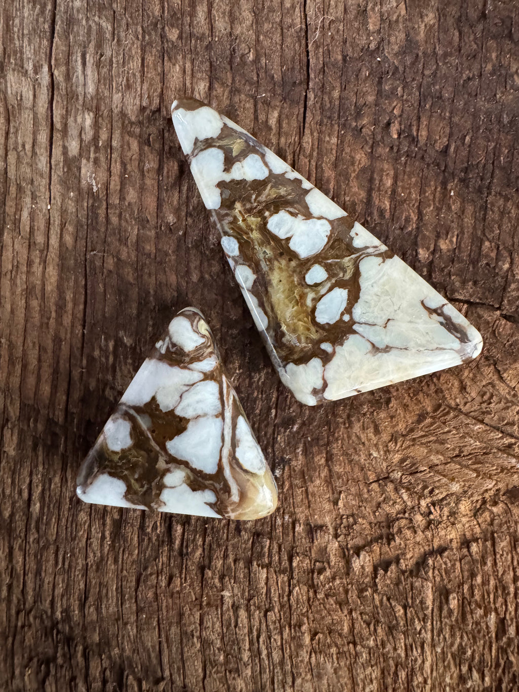 Wild Horse Variscite Pair