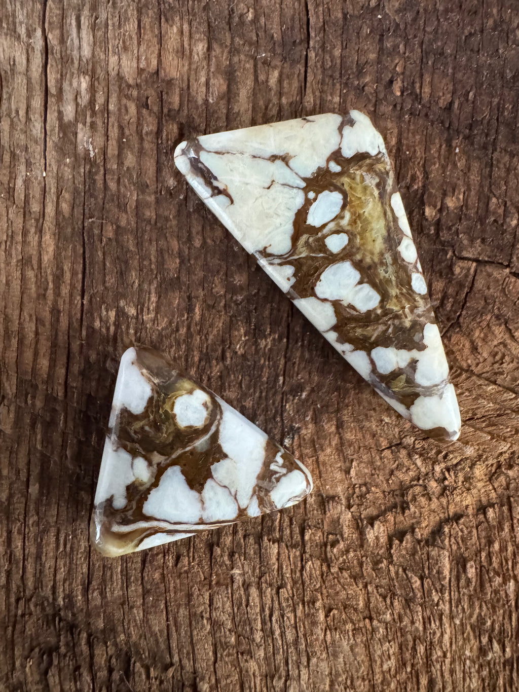 Wild Horse Variscite Pair