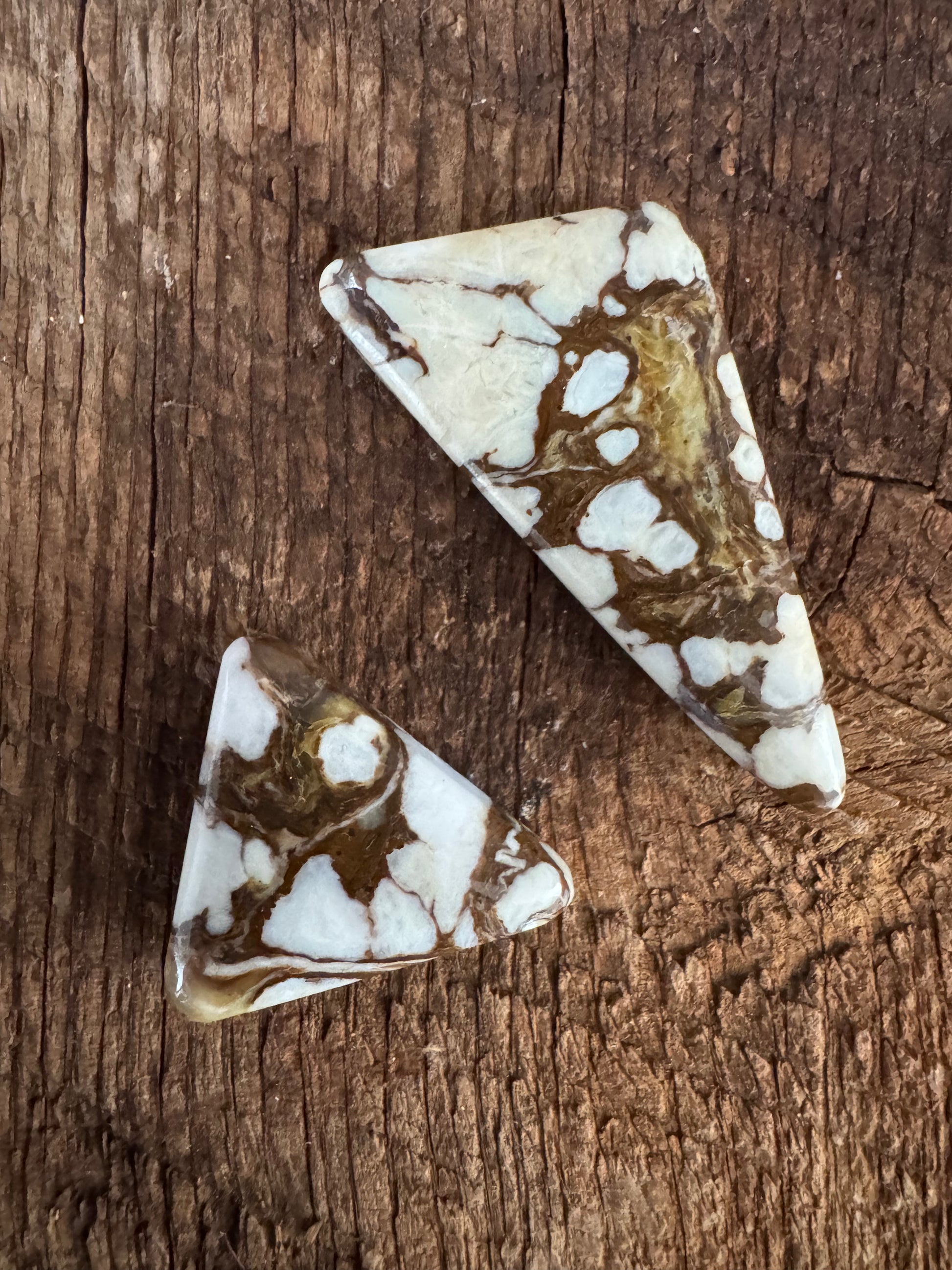 Wild Horse Variscite Pair