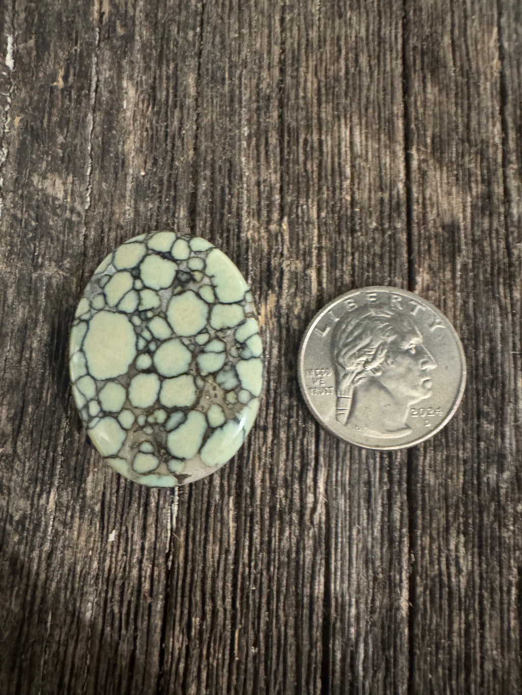 Large Desert Bloom Variscite Cab