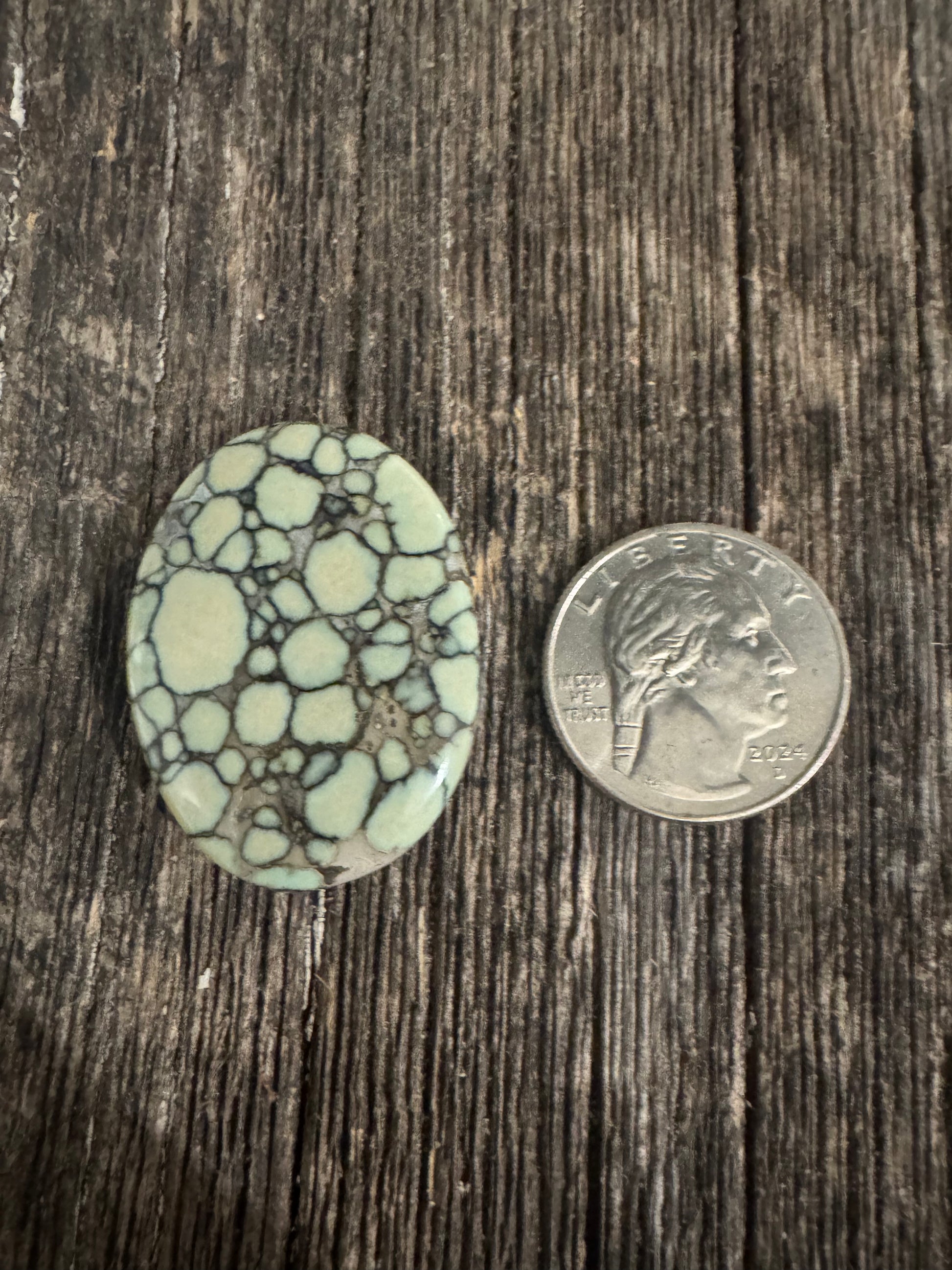 Large Desert Bloom Variscite Cab